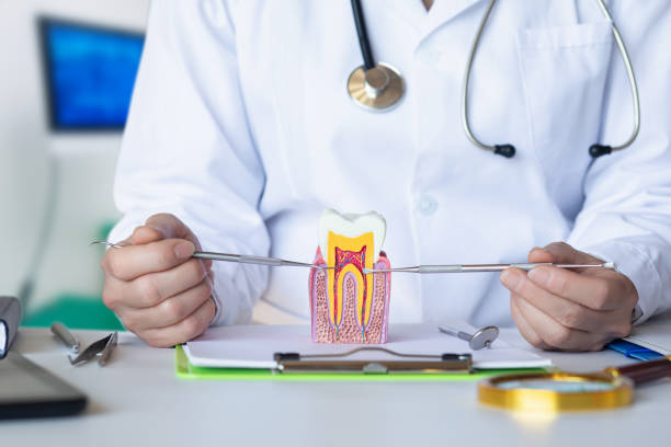 Best Emergency Dentist for Knocked-Out Tooth in New Kensington, PA